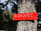 boskovec56_small.jpg
