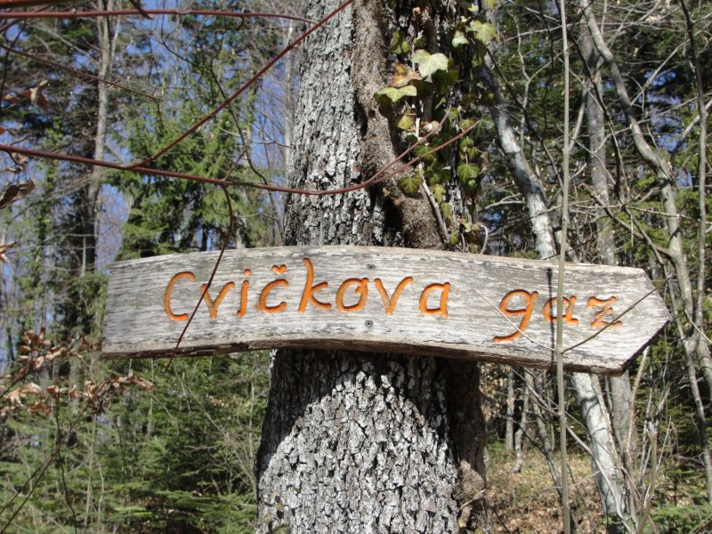 cvikovagaz40.jpg