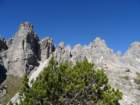 furlanskidolomiti27_small.jpg