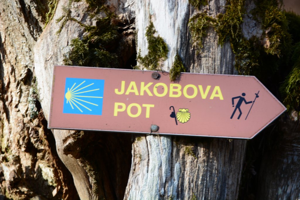 jakobovapot6.jpg