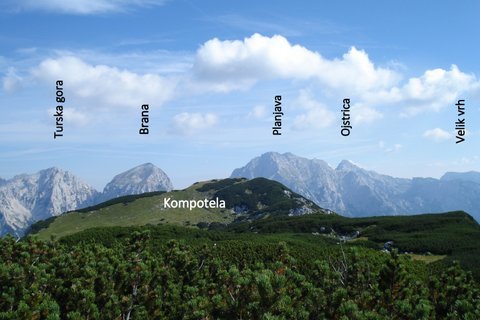 kompotela16.jpg