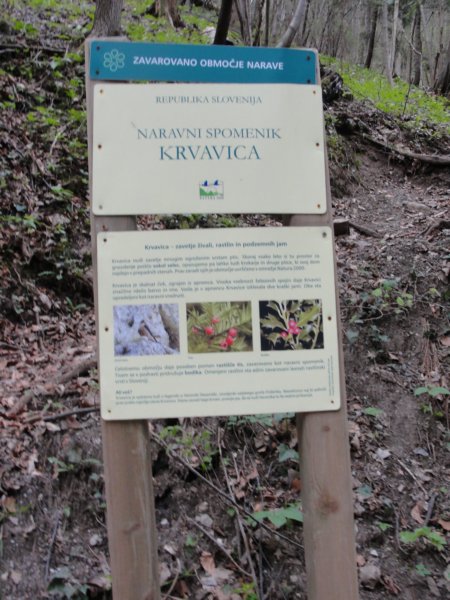 krvavica20133.jpg