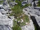 montezermula59_small.jpg