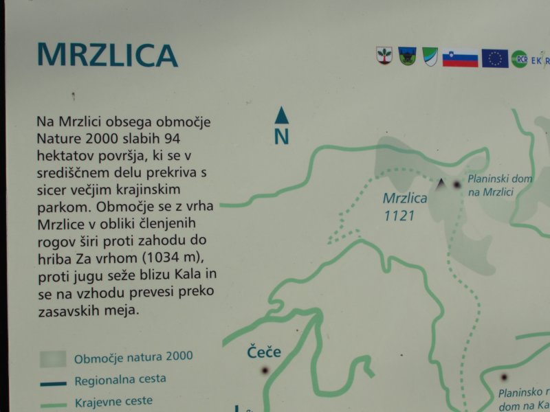 mrzlica22.jpg