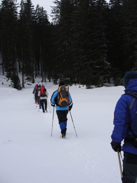 pokljuka201216.jpg