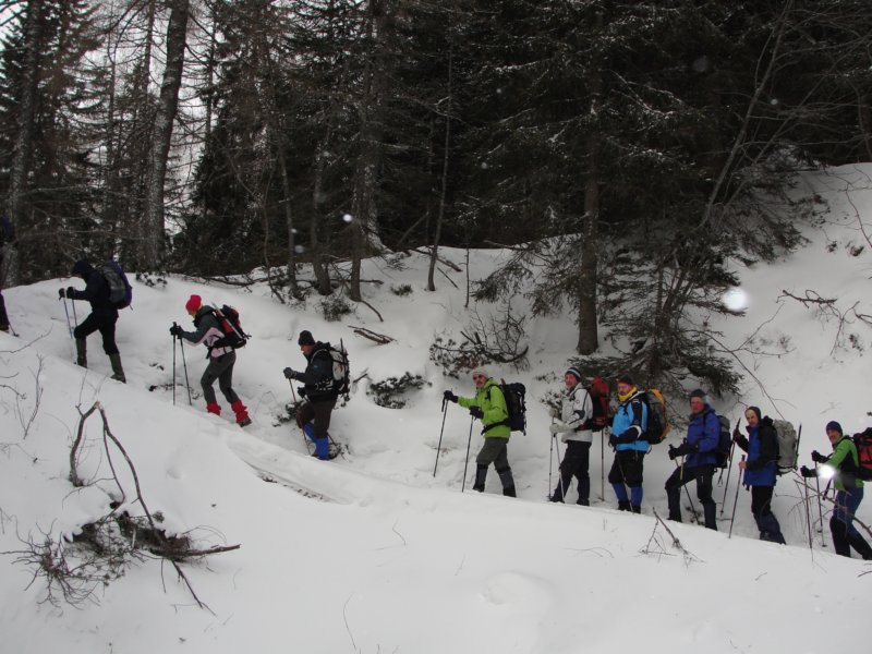 pokljuka201218.jpg