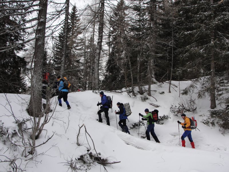 pokljuka201220.jpg