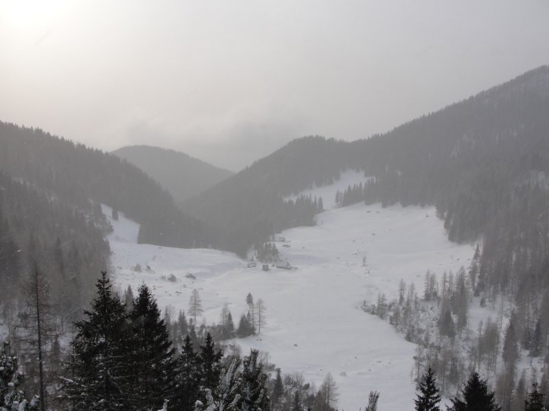 pokljuka201223.jpg