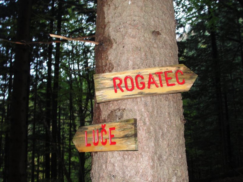 rogatec17.jpg