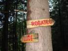 rogatec17_small.jpg