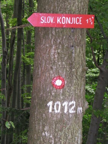 slomkovapot15.jpg