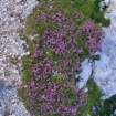 triglav202410_small.jpg