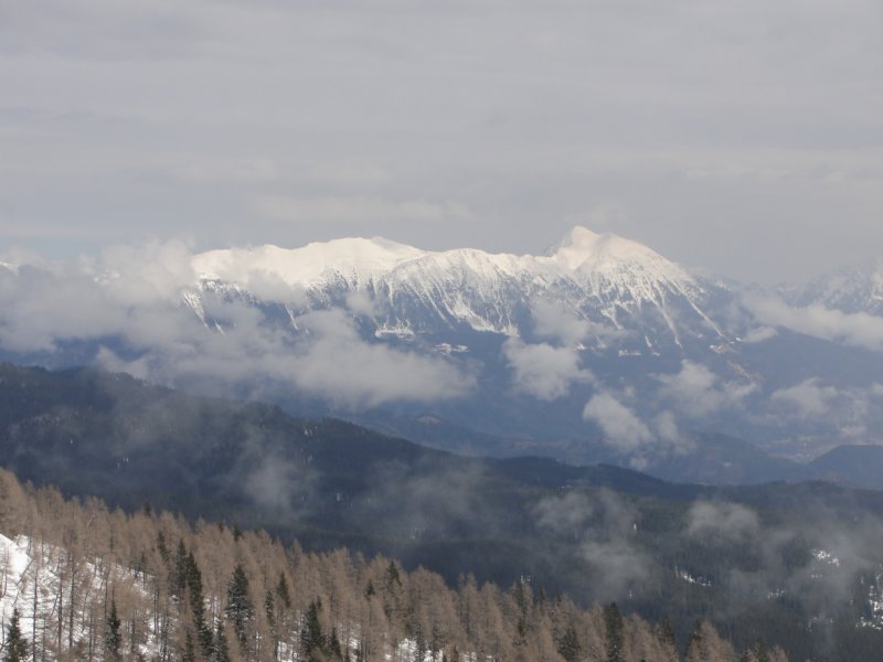 pokljuka5.jpg