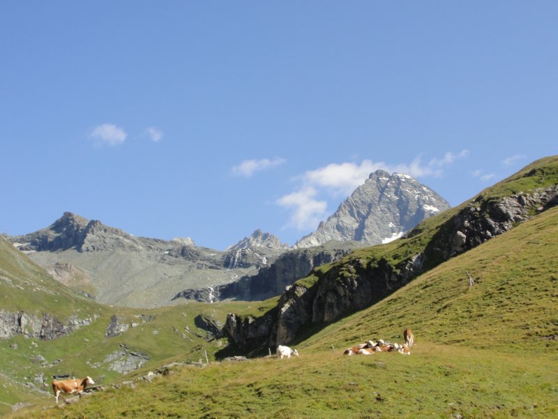 grossglocner58.jpg