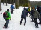 pokljuka201615_small.jpg